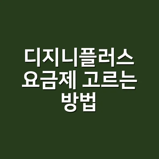 디지니플러스 요금제 고르는 방법, 4K까지 꼭 필요할 때는 이렇게