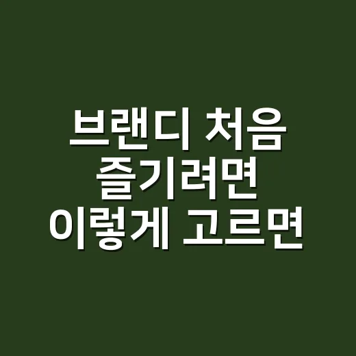 브랜디 처음 즐기려면 이렇게 고르면 실패가 적어요 - 요약