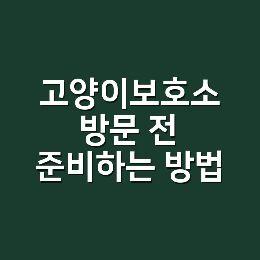 고양이보호소 방문 전 준비하는 방법, 처음이라면 이렇게 시작하세요 - 요약