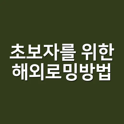 초보자를 위한 해외로밍방법, 출국 전 이렇게 준비하면 편합니다 - 요약