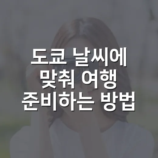 도쿄 날씨에 맞춰 여행 준비하는 방법 - 요약