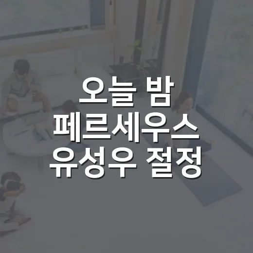 오늘 밤 페르세우스 유성우 절정, 초보자가 제대로 보는 방법 - 요약