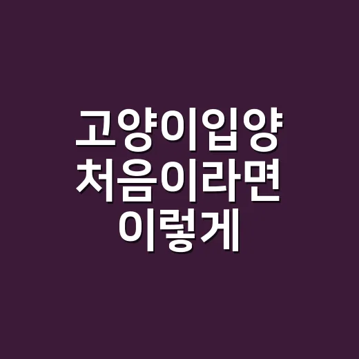 고양이입양 처음이라면 이렇게 준비하는 방법 - 요약