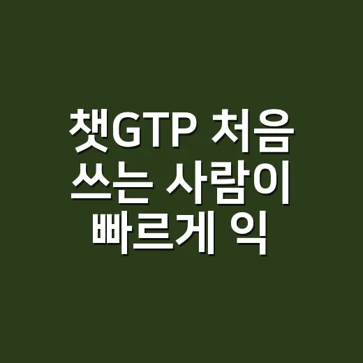 챗GTP 처음 쓰는 사람이 빠르게 익히는 방법 - 요약
