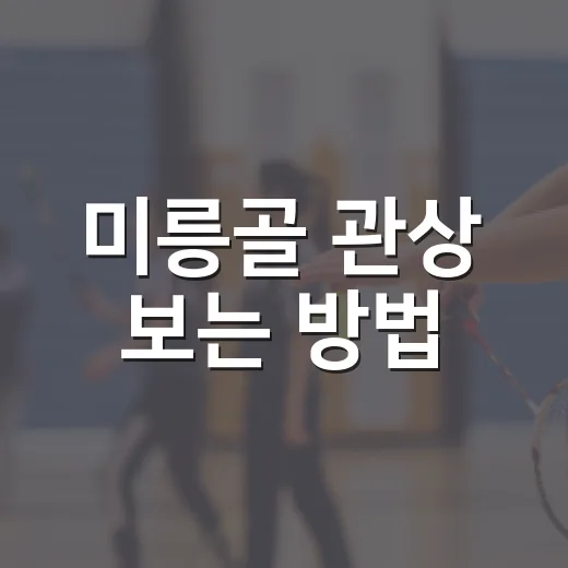 미릉골 관상 보는 방법, 초보자가 헷갈리지 않게 읽는 기준 - 요약