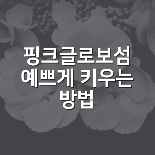 핑크글로보섬 예쁘게 키우는 방법, 초보자가 놓치기 쉬운 물주기와 햇빛 관리 - 요약