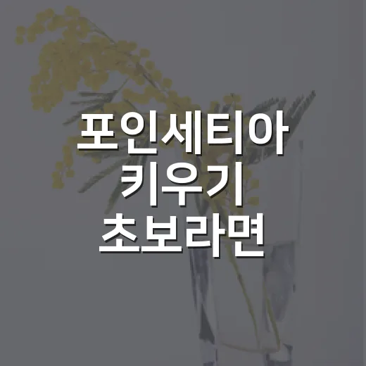 포인세티아 키우기 초보라면 물주기와 빛부터 이렇게 맞추세요 - 요약