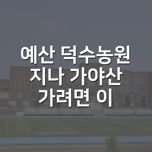 예산 덕수농원 지나 가야산 가려면 이렇게 움직이면 편합니다 - 요약