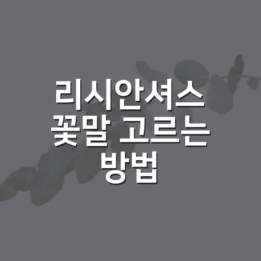 리시안셔스 꽃말 고르는 방법, 색깔별 의미까지 쉽게 이해하기 - 요약