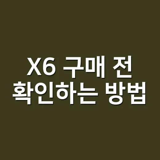 X6 구매 전 확인하는 방법, 초보자도 놓치기 쉬운 포인트 - 요약