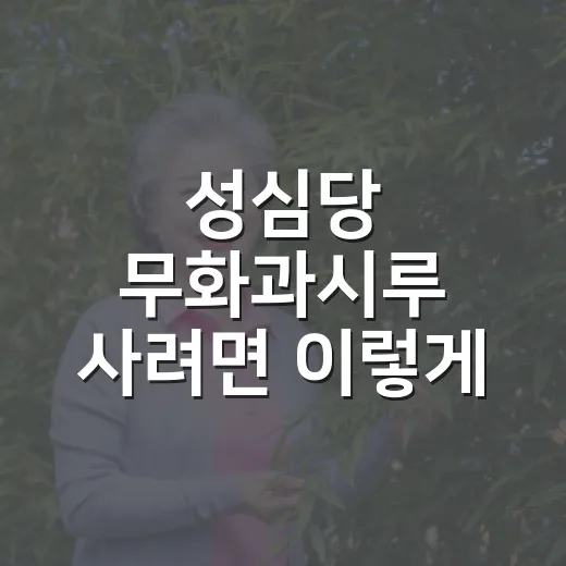 성심당 무화과시루 사려면 이렇게 움직이면 덜 헤매요 - 요약