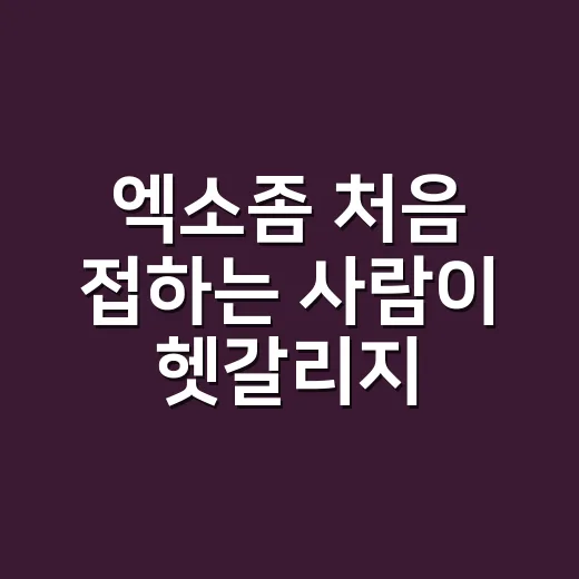 엑소좀 처음 접하는 사람이 헷갈리지 않는 방법 - 요약