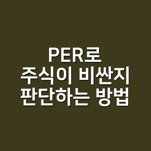 PER로 주식이 비싼지 판단하는 방법, 초보자도 이렇게 보면 됩니다 - 요약
