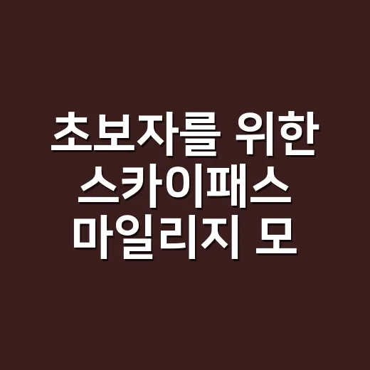 초보자를 위한 스카이패스 마일리지 모으고 쓰는 방법 - 요약