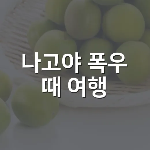 나고야 폭우 때 여행·출장을 안전하게 움직이는 방법 - 요약