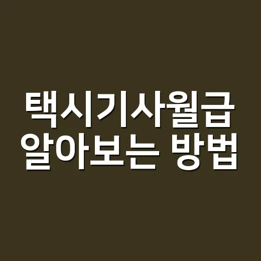 택시기사월급 알아보는 방법, 법인택시와 개인택시 수입 차이까지 - 요약