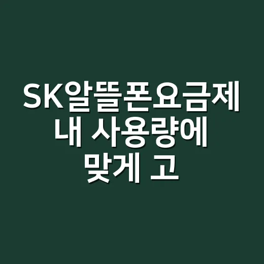 SK알뜰폰요금제 내 사용량에 맞게 고르는 방법 - 요약
