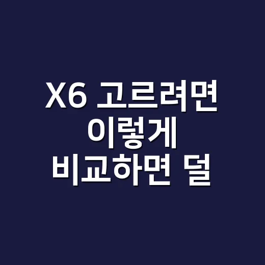 X6 고르려면 이렇게 비교하면 덜 후회합니다 - 요약
