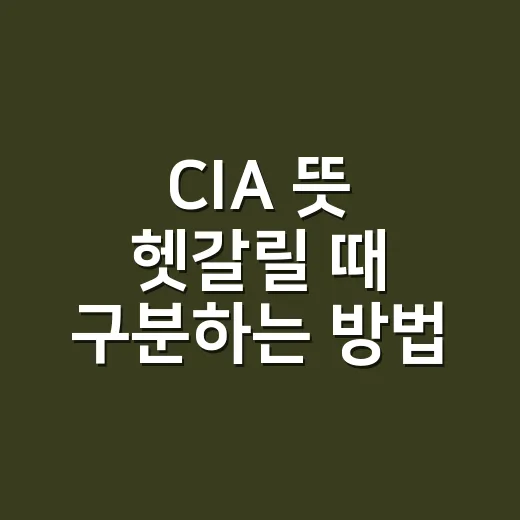 CIA 뜻 헷갈릴 때 구분하는 방법: 보안 용어까지 쉽게 읽기 - 요약