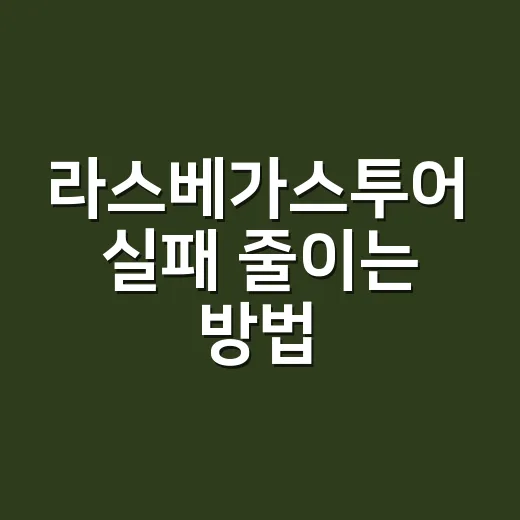 라스베가스투어 실패 줄이는 방법: 초보자를 위한 일정별 선택 팁 - 요약