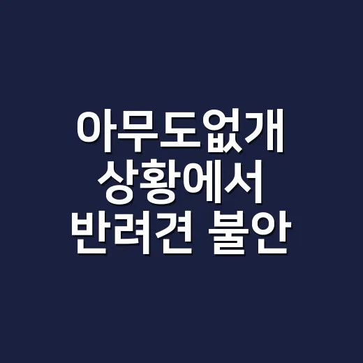 아무도없개 상황에서 반려견 불안 줄이는 방법 - 요약