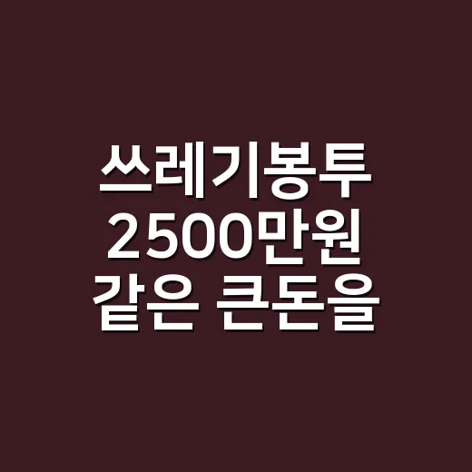 쓰레기봉투 2500만원 같은 큰돈을 발견했을 때 처리하는 방법 - 요약