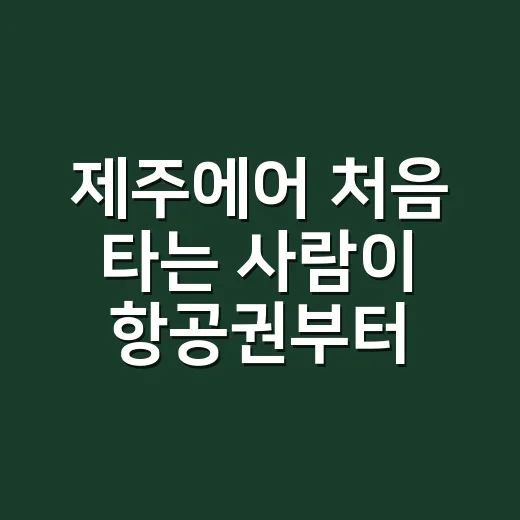 제주에어 처음 타는 사람이 항공권부터 수하물까지 챙기는 방법 - 요약