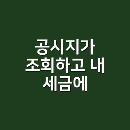 공시지가 조회하고 내 세금에 반영되는지 확인하는 방법 - 요약