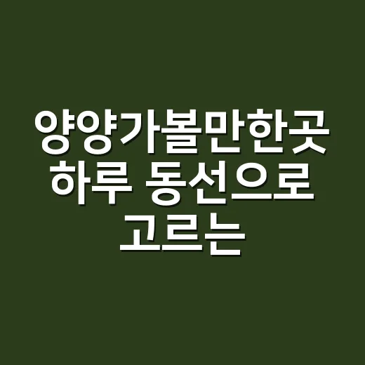 양양가볼만한곳 하루 동선으로 고르는 방법 - 요약