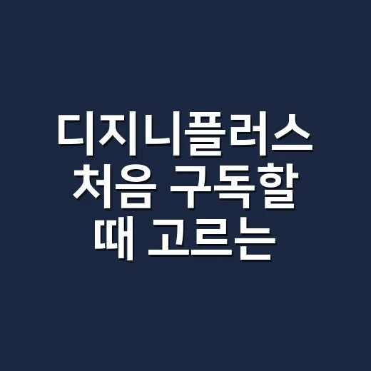 디지니플러스 처음 구독할 때 고르는 방법 - 요약