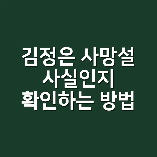 김정은 사망설 사실인지 확인하는 방법 - 요약