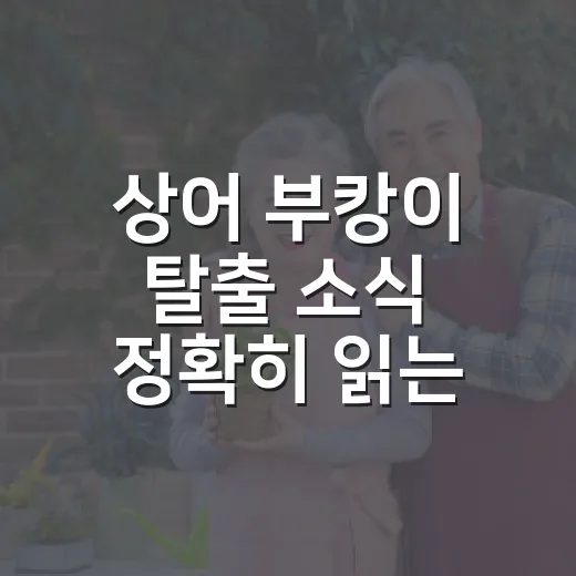 상어 부캉이 탈출 소식 정확히 읽는 방법 - 요약