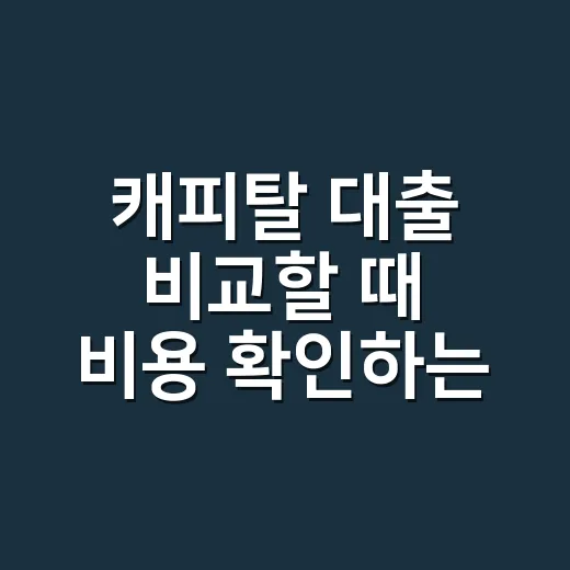 캐피탈 대출 비교할 때 비용 확인하는 방법 - 요약