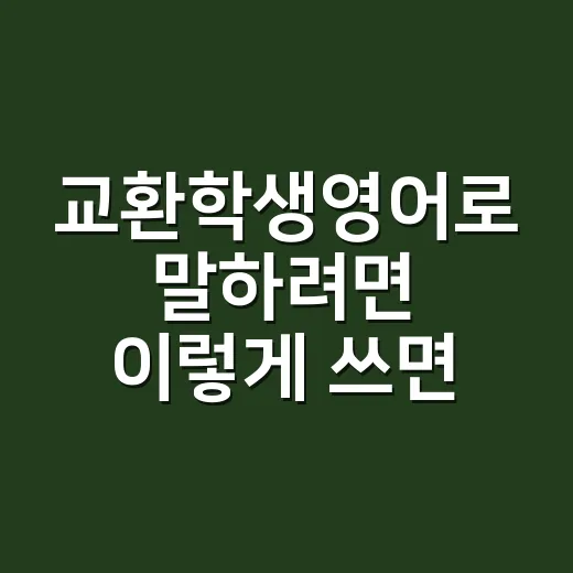 교환학생영어로 말하려면 이렇게 쓰면 됩니다 - 요약
