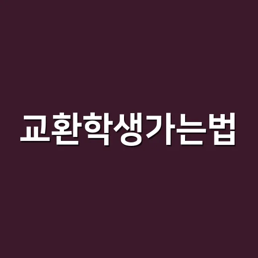 교환학생가는법, 초보자가 지원 전부터 합격 후까지 준비하는 방법 - 요약