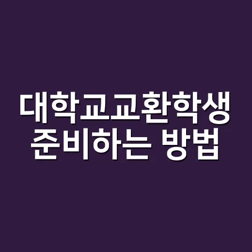 대학교교환학생 준비하는 방법, 학점보다 먼저 봐야 할 것들 - 요약