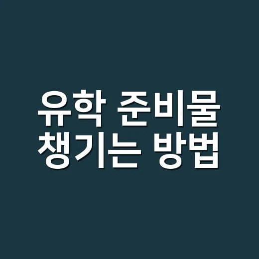 유학 준비물 챙기는 방법, 출국 3개월 전부터 이렇게 준비하세요 - 요약