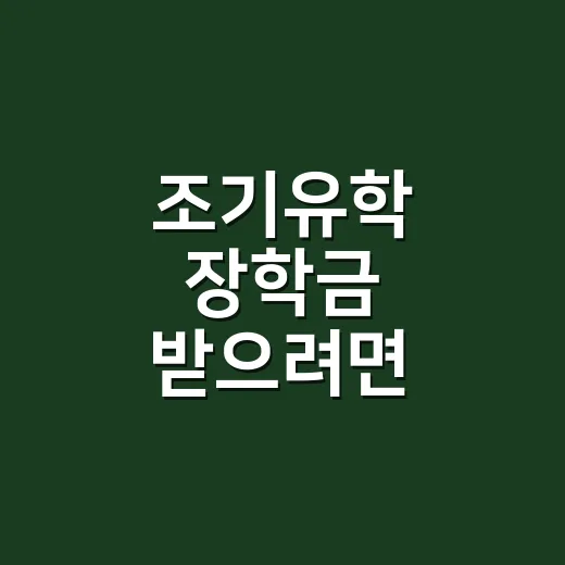 조기유학 장학금 받으려면 이렇게 준비하세요 - 요약