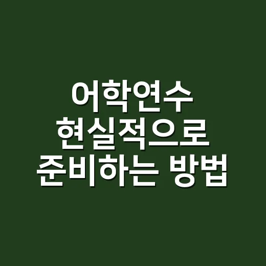 어학연수 현실적으로 준비하는 방법, 비용부터 국가 선택까지 이렇게 잡으세요 - 요약