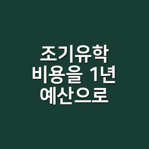 조기유학 비용을 1년 예산으로 계산하는 방법 - 요약