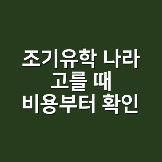 조기유학 나라 고를 때 비용부터 확인하는 방법 - 요약