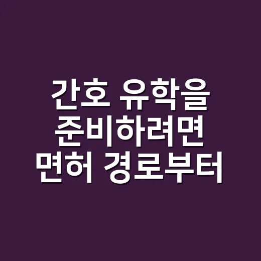 간호 유학을 준비하려면 면허 경로부터 확인하는 방법 - 요약