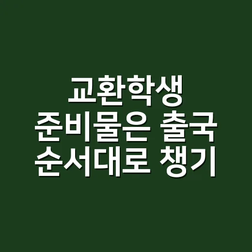 교환학생 준비물은 출국 순서대로 챙기는 방법 - 요약