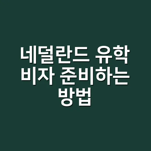 네덜란드 유학 비자 준비하는 방법 - 요약