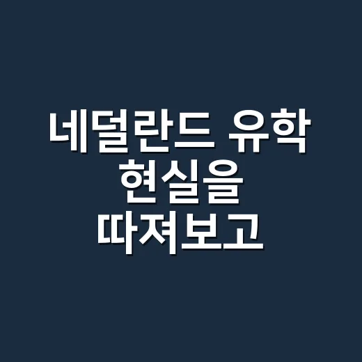 네덜란드 유학 현실을 따져보고 지원하는 방법 - 요약