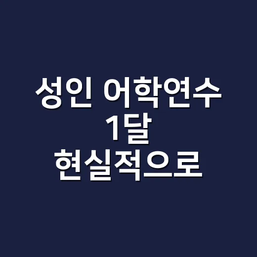 성인 어학연수 1달 현실적으로 준비하는 방법 - 요약