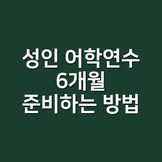 성인 어학연수 6개월 준비하는 방법 - 요약