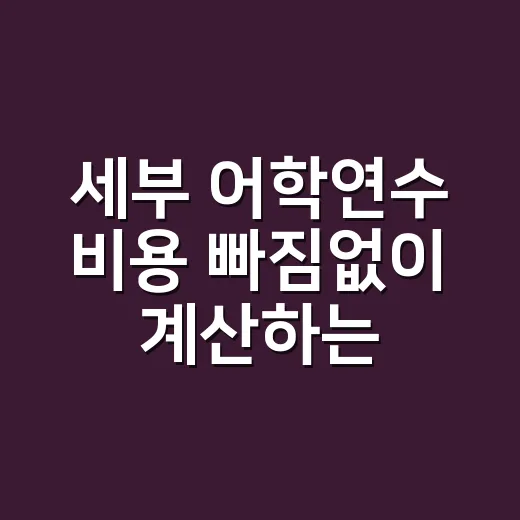 세부 어학연수 비용 빠짐없이 계산하는 방법 - 요약
