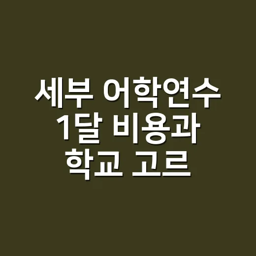 세부 어학연수 1달 비용과 학교 고르는 방법 - 요약