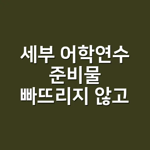 세부 어학연수 준비물 빠뜨리지 않고 챙기는 방법 - 요약